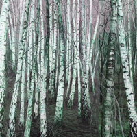 Nicky Symes - Firestone