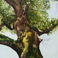 Nicky Symes - Gatcombe Oak