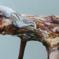 Nicky Symes - Fallen Pine