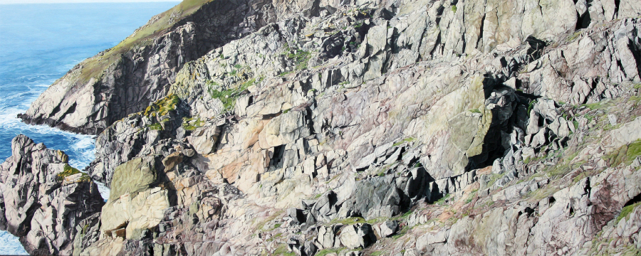 Nicky Symes - artist - Lundy Cliff